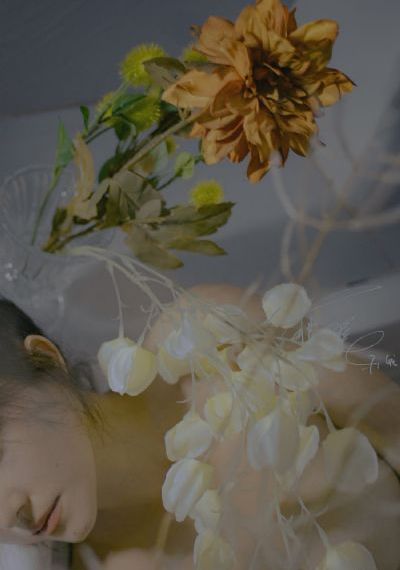 成人在线观看免费完整版_DVD免费观看最新