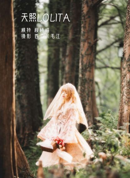 疯狂动物城普通话_剧情片在线观看完整版